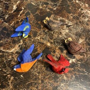 Set of 5 bird magnets